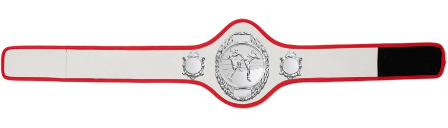 THAI BOXING CHAMPIONSHIP BELT-PRO286/S/TBOS-10+ COLOURS